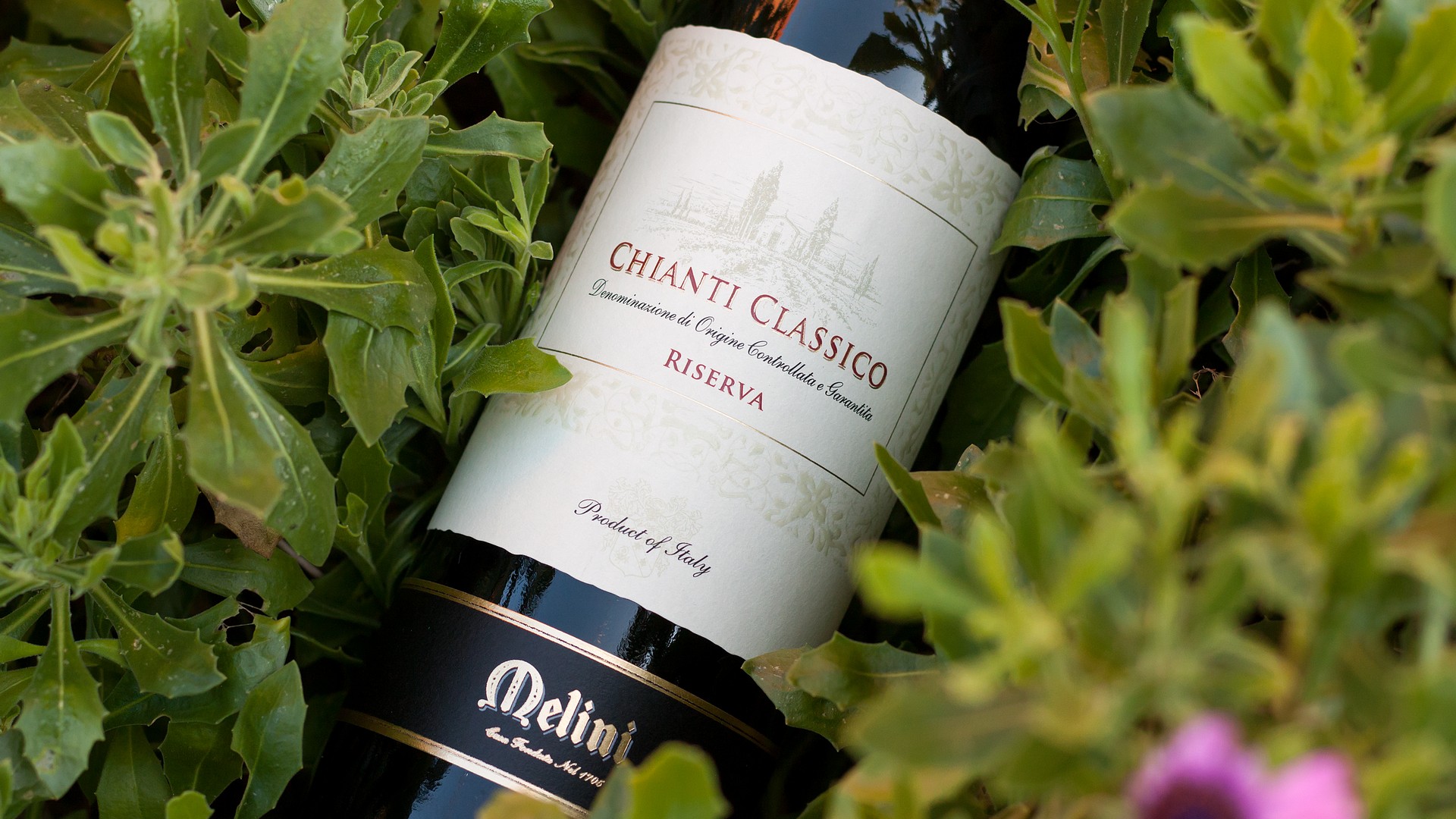 chianti classico melini